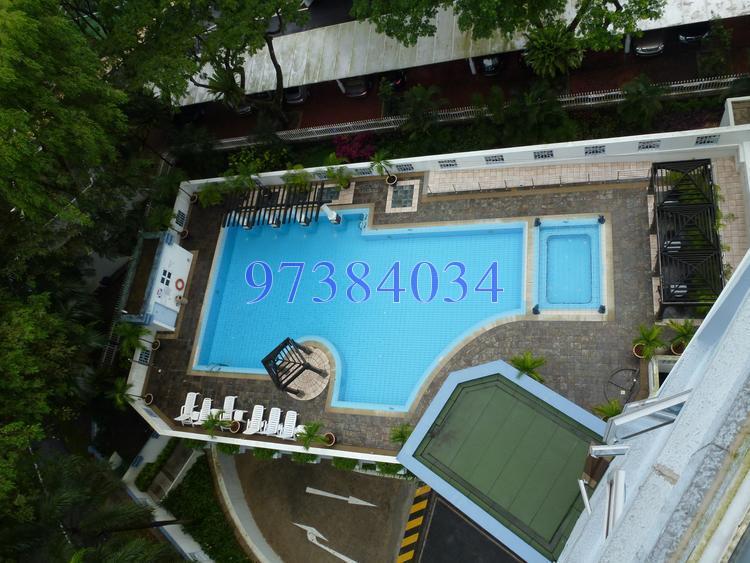 Leedon 2 (D10), Condominium #121069072